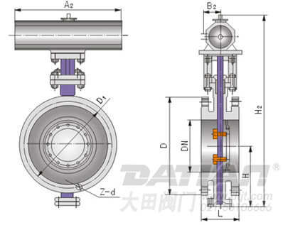 Dd643氣動法蘭式多層次金屬硬密封蝶閥 結構圖