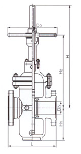 Z43F 導流孔平行式閘閥結構示意圖